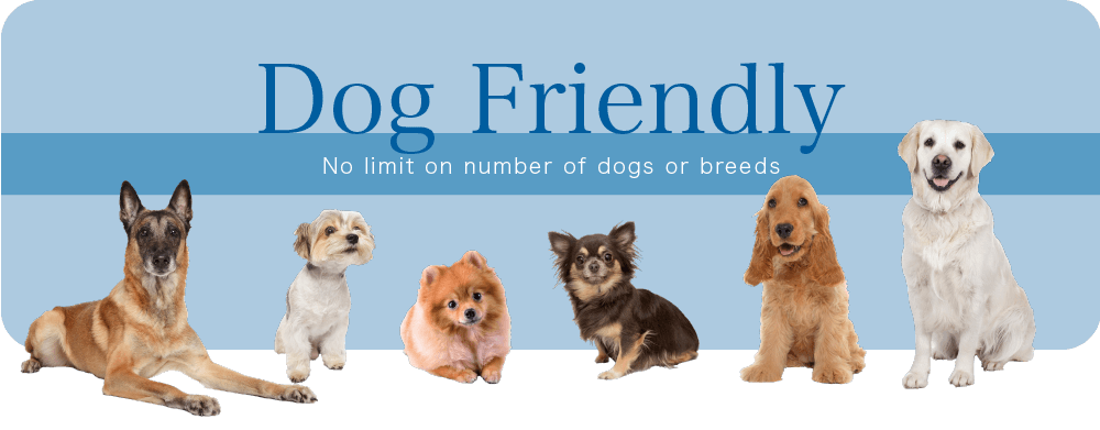 Dog Friendly