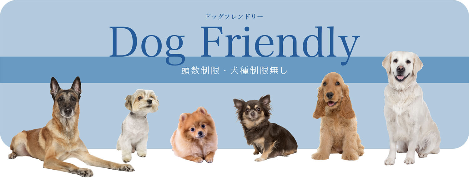 Dog Friendly